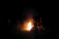 Sola2016301
