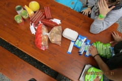 Sola2019068