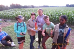 Sola2019245